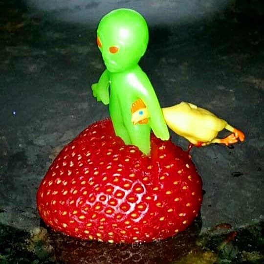 Copper Mountain, CO - Image 1