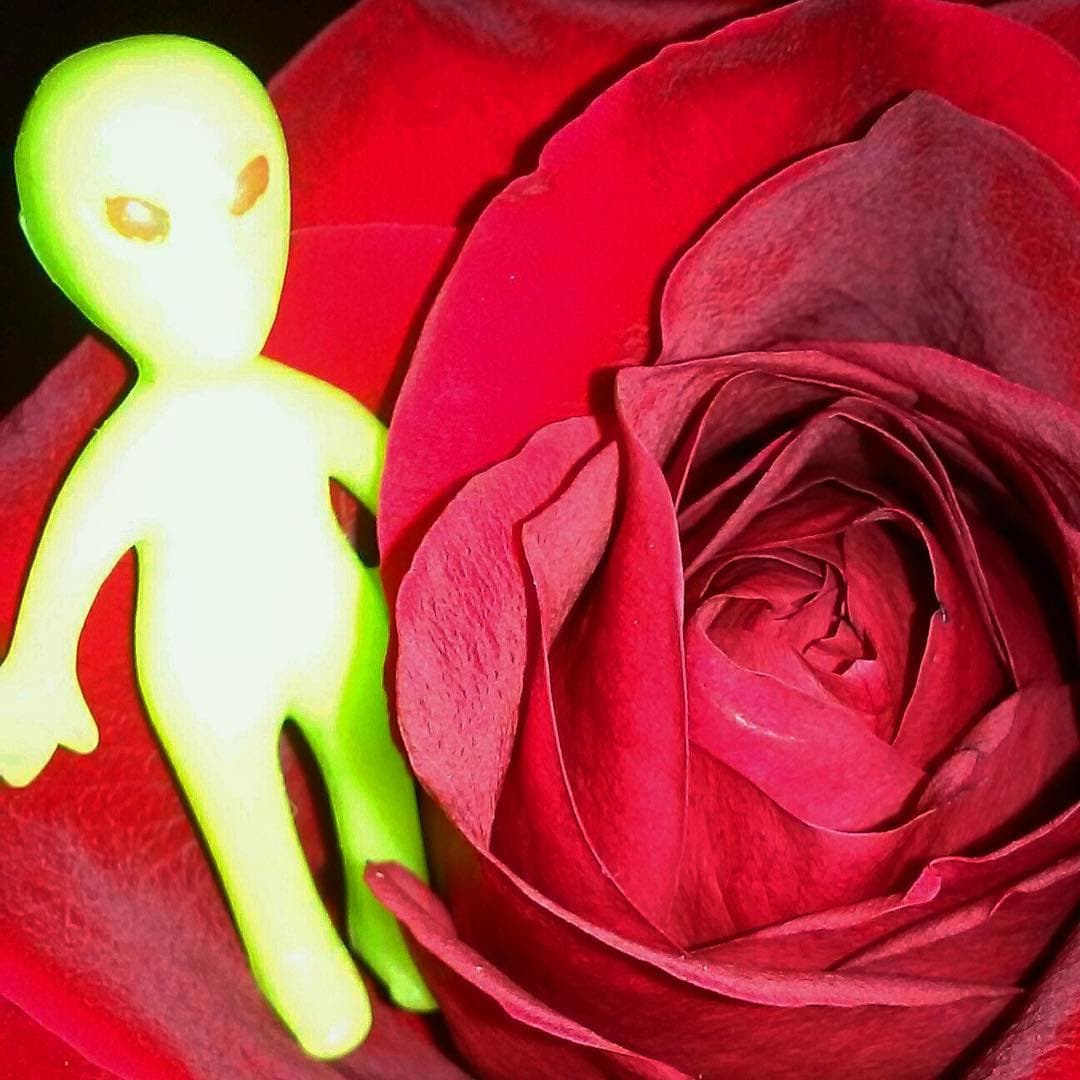 From Amber - Image 1