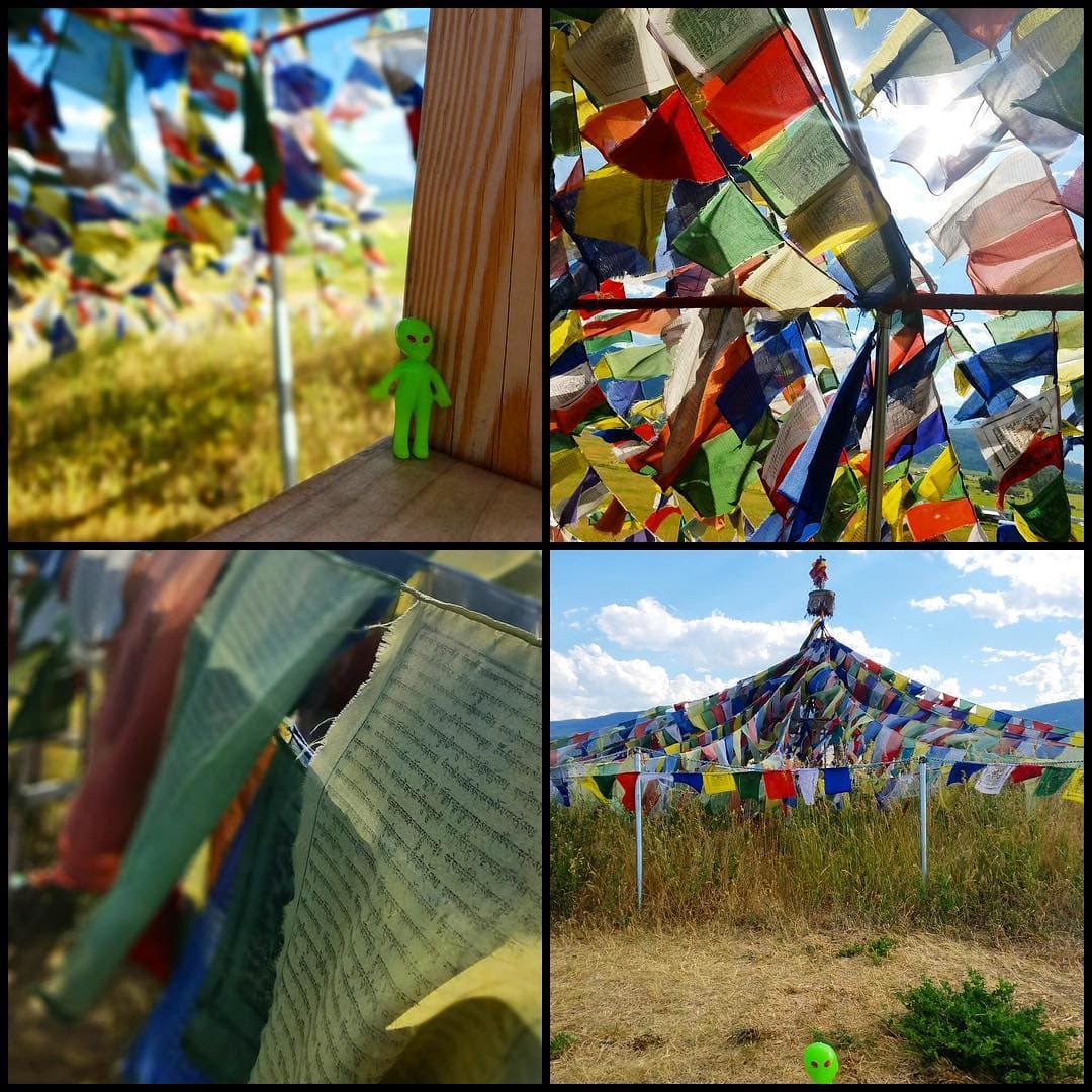 The Garden of 1000 Buddhas near Arlee, MT - Image 1