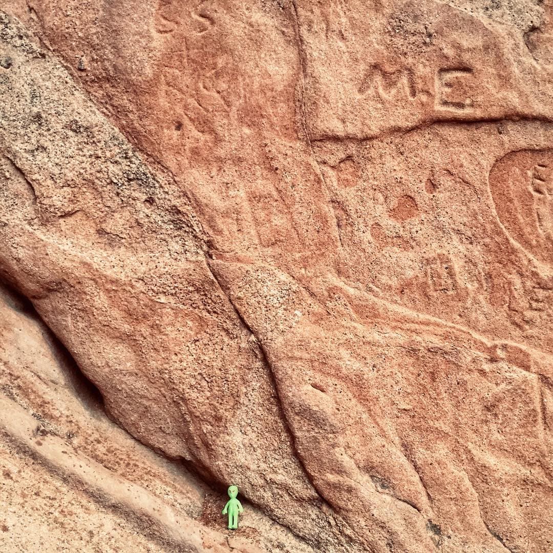 Garden of the Gods - Image 1
