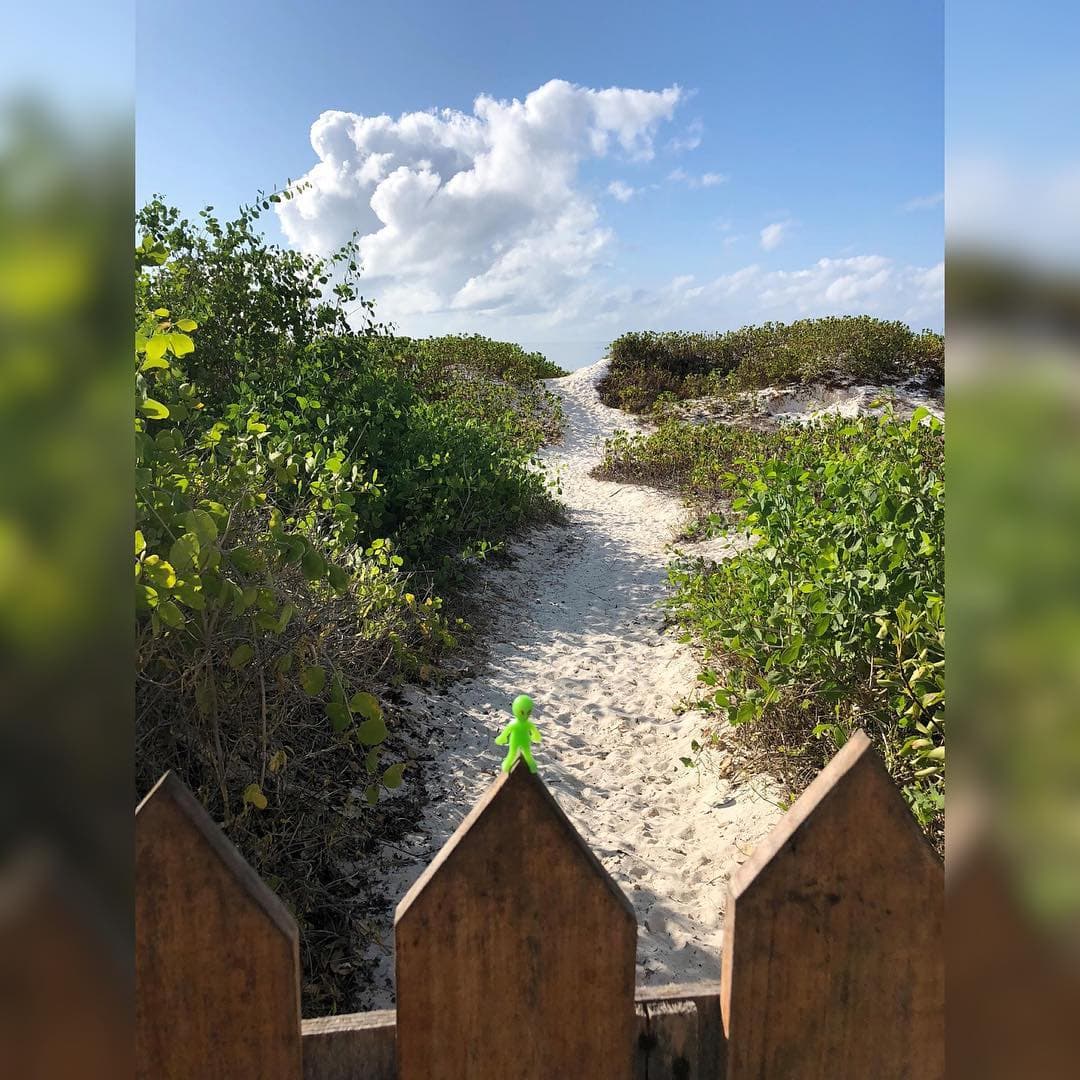 Watamu, Kenya - Image 1