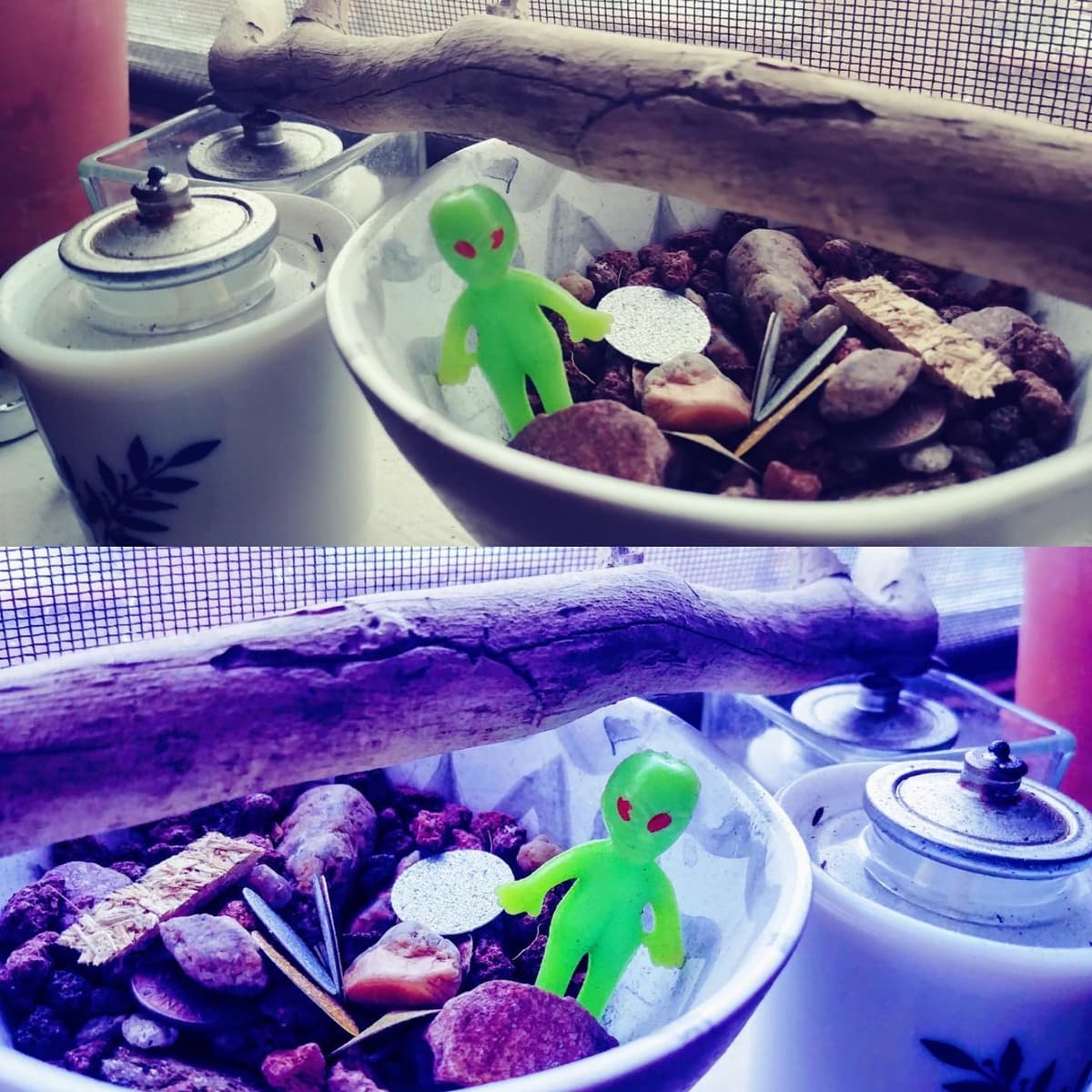 Explorer 👽 - Image 1