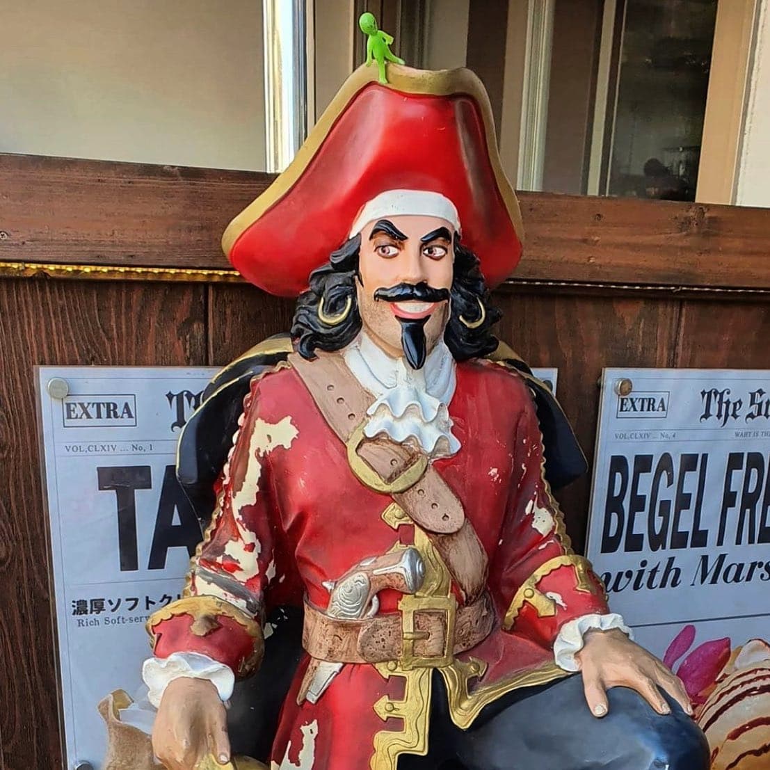 Pirate alien - Image 1