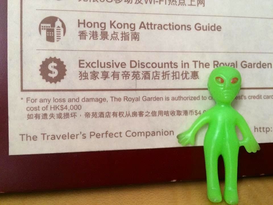 Travel companion - Image 1