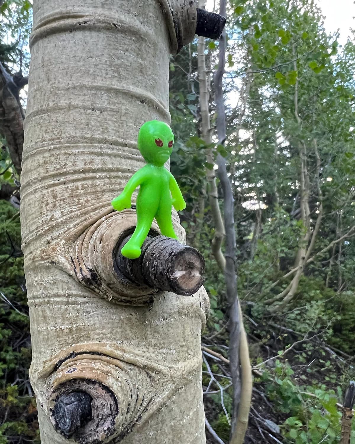 Breckenridge alien - Image 1