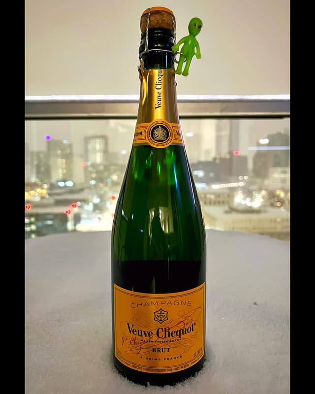New Yearβs Eve champalien