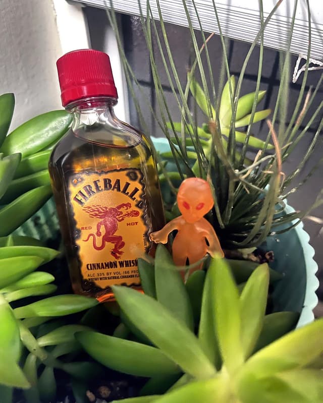 Fireball alien π₯π½